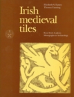 Image for Irish Medieval Tiles