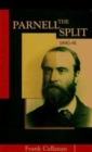 Image for The Parnell Split, 1890-91