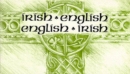 Image for Irish-English, English-Irish Dictionary