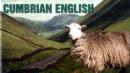 Image for Cumbrian English