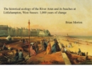 Image for The Historical Ecology of the River Arun and its Beaches at Littlehampton, West Sussex : 1000 Years of Change