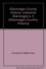 Image for Glamorgan County History: Industrial Glamorgan v. 5