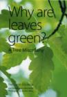 Image for Why are leaves green?  : a tree miscellany