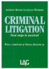Image for Criminal litigation  : first steps to survival