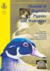 Image for BSAVA Manual of Raptors, Pigeons and Waterfowl