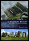 Image for The Bluestone Enigma : Stonehenge, Preseli and the Ice Age