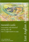 Image for EAA 132: Norwich Castle