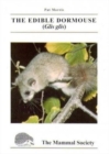 Image for The edible dormouse (glis glis)