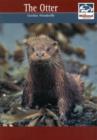 Image for The otter