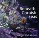 Image for Beneath Cornish seas