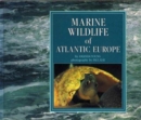 Image for Marine Wildlife of Atlantic Europe