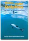 Image for Down-under Dolphins : Story of Hector&#39;s Dolphin