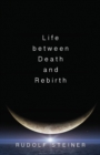 Image for Life Between Death and Rebirth