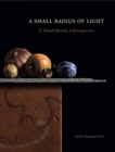 Image for A Small Radius of Light