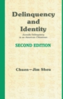 Image for Delinquency and Identity : Delinquency in an American Chinatown