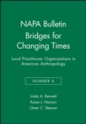 Image for Bridges for Changing Times : Local Practitioner Organizations in American Anthropology