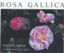 Image for Rosa Gallica : The French Roses