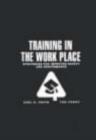 Image for Training in the Workplace : Strategies for Improved Safety and Performance