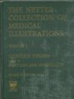 Image for The Netter Collection of Medical Illustrations - Nervous System