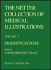 Image for The Netter Collection of Medical Illustrations - Digestive System : 3-Part Set