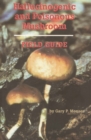 Image for Hallucinogenic and Poisonous Mushroom Field Guide