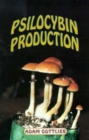 Image for Psilocybin Producers Guide