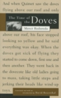 Image for The time of the doves  : a novel