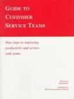 Image for Guide to Customer Service Teams : Nine Steps to Improving Productivity and Service with Teams