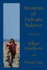 Image for Moments of Delicate Balance