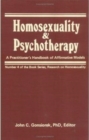 Image for A Guide to Psychotherapy With Gay and Lesbian Clients