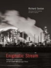 Image for Enigmatic stream  : industrial landscapes of the lower Mississippi River