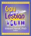 Image for Gay and Lesbian Youth