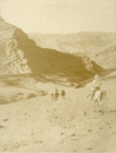 Image for The Holmes Expedition to Luristan
