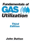 Image for Fundamentals of Gas Utilization