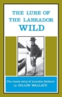 Image for Leonidas Hubbard : The Lure of the Labrador Wild
