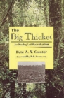 Image for Big Thicket : An Ecological Reevaluation