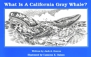 Image for What Is A California Grey Whale?
