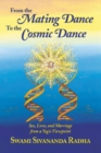 Image for From the Mating Dance to the Cosmic Dance : Sex, Love and Marriage from a Yogic Viewpoint