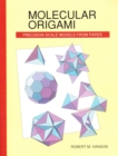 Image for Molecular origami  : precision scale models from paper