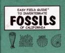 Image for Easy field guide to invertebrate fossils of California