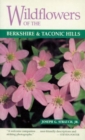 Image for Wildflowers of the Berkshire and Taconic Hills