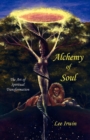 Image for Alchemy of Soul