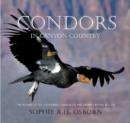 Image for Condors in the Nineteenth Century