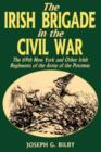 Image for Irish Brigade In The Civil War
