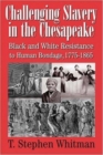 Image for Challenging Slavery in the Chesapeake - Black and White Resistance to Human Bondage 1775-1865