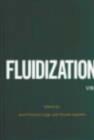 Image for Fluidization VIII