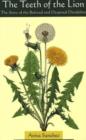 Image for Teeth of the Lion : The Story of the Beloved &amp; Despised Dandelion