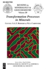 Image for Transformation Processes in Minerals