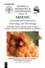 Image for Arsenic : Environmental Geochemistry, Mineralogy, and Microbiology