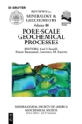 Image for Pore scale geochemical processes